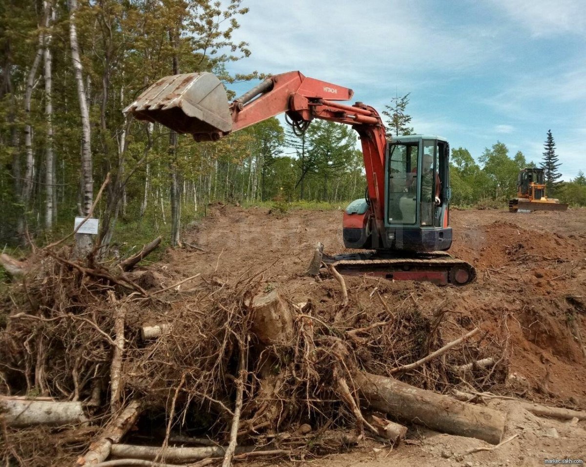 Корчевание мелколесья