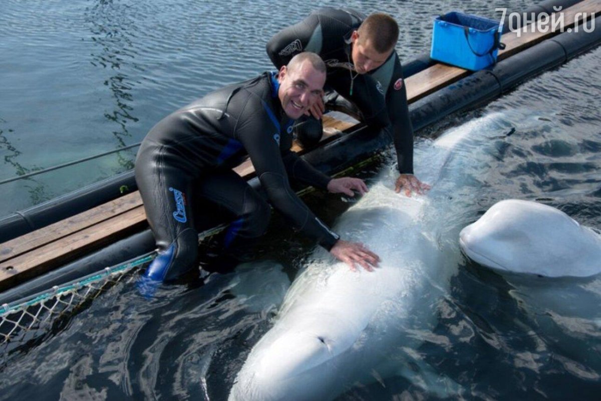 Винни Джонс бомж