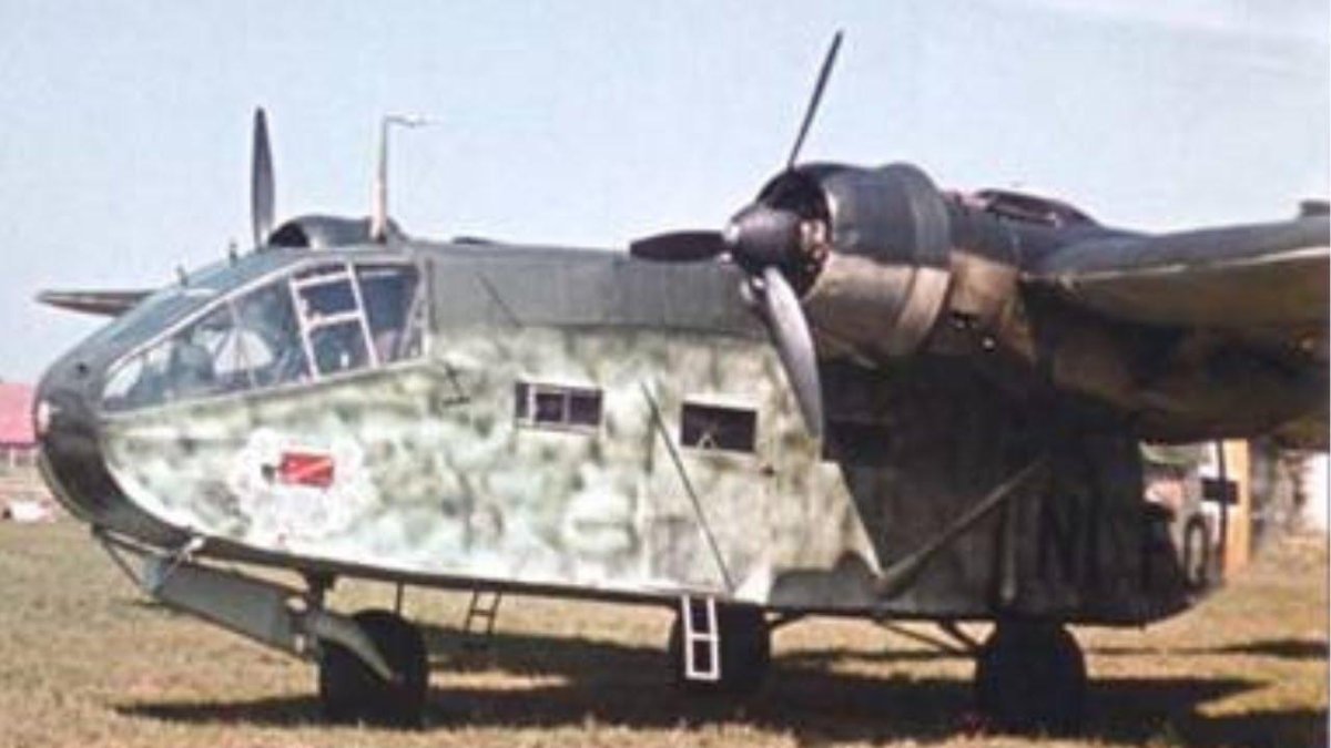 Транспортный самолет Gotha go-244