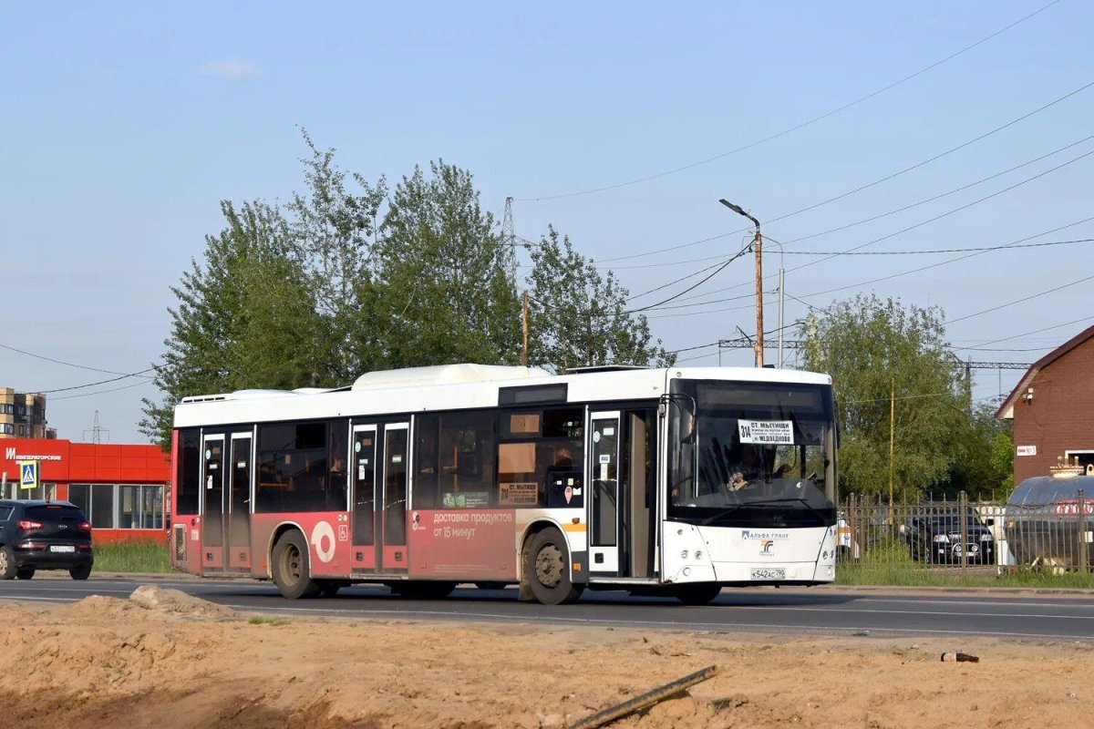 МАЗ 203 ас164 16