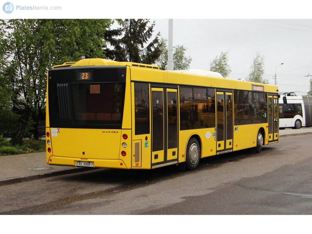 МАЗ 203