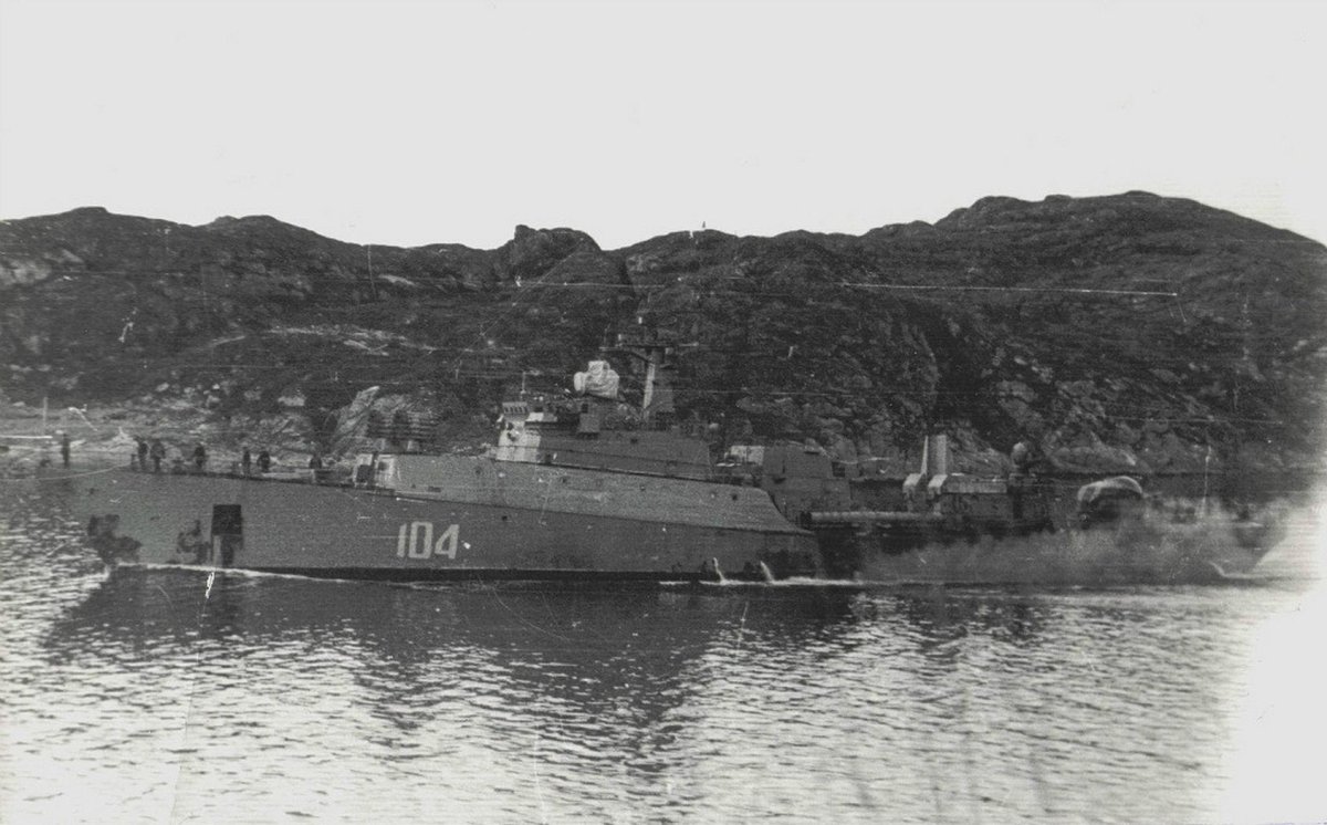 Малые противолодочные корабли проекта 204