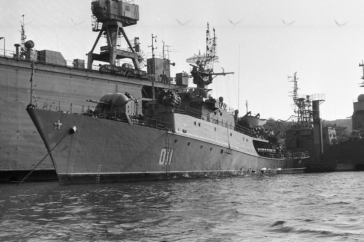 Корабль проекта 1124п Альбатрос