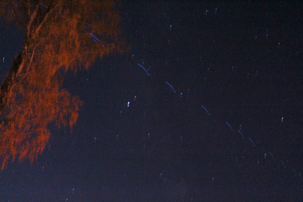 Спутники Илона маска над Владивостоком