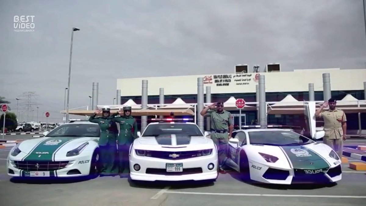 Автопарк полиции Дубая