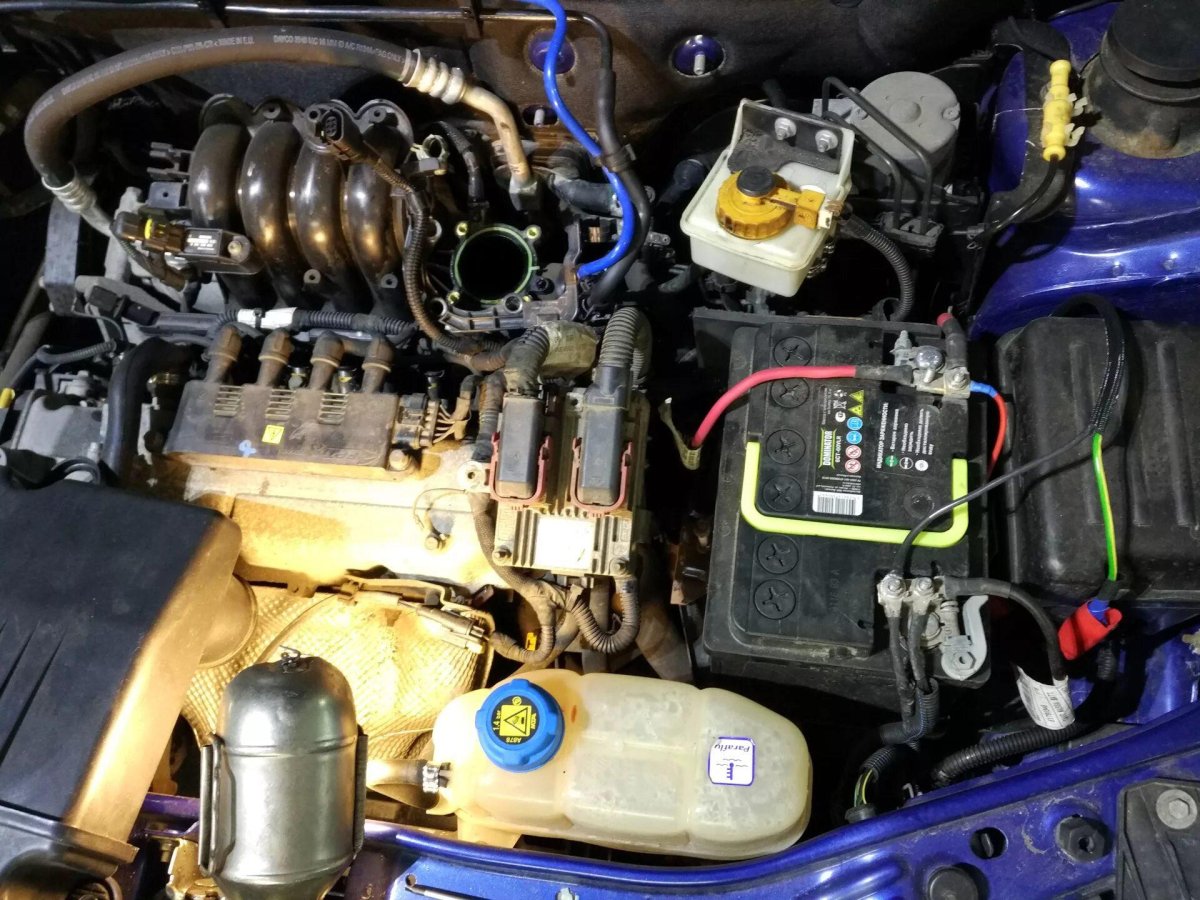 Моторный отсек Фиат Альбеа