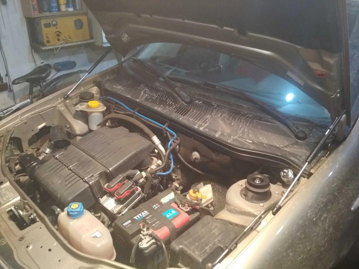 Газовые упоры Фиат Альбеа