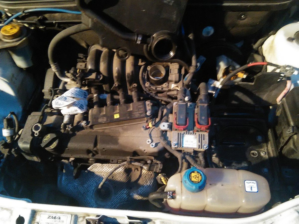 Подкапотное пространство Фиат Альбеа 1.4