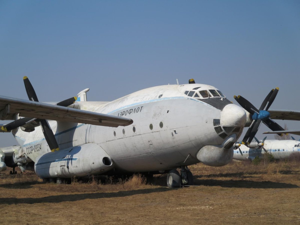 АН 22 Монино