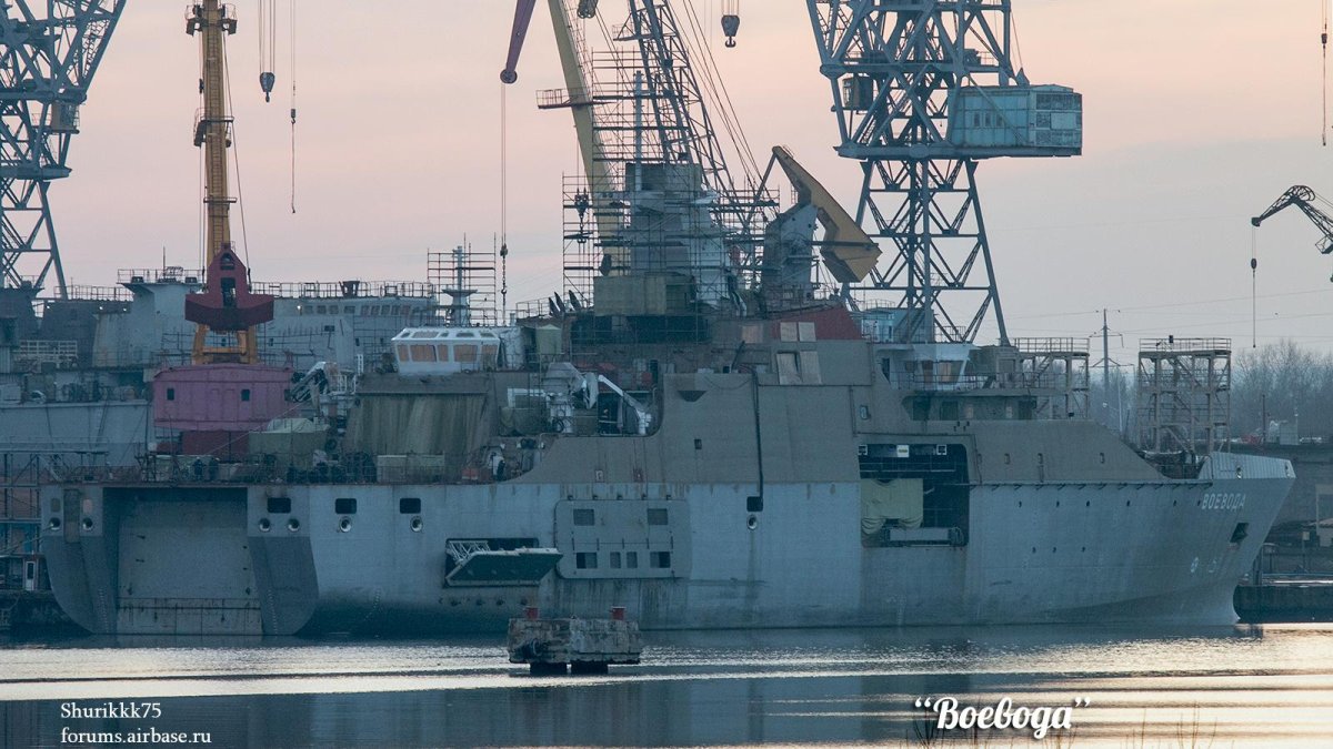 23700 Воевода