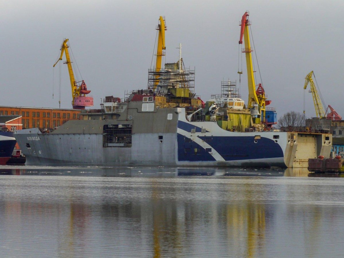Воевода корабль Калининград