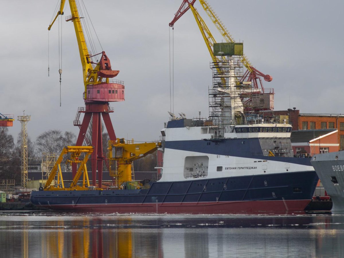 ОИС Евгений Горигледжан проекта 02670