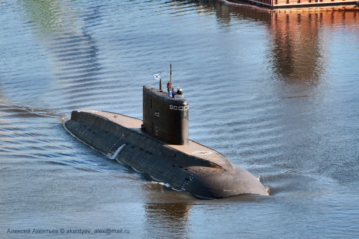 Подводная лодка палтус 877