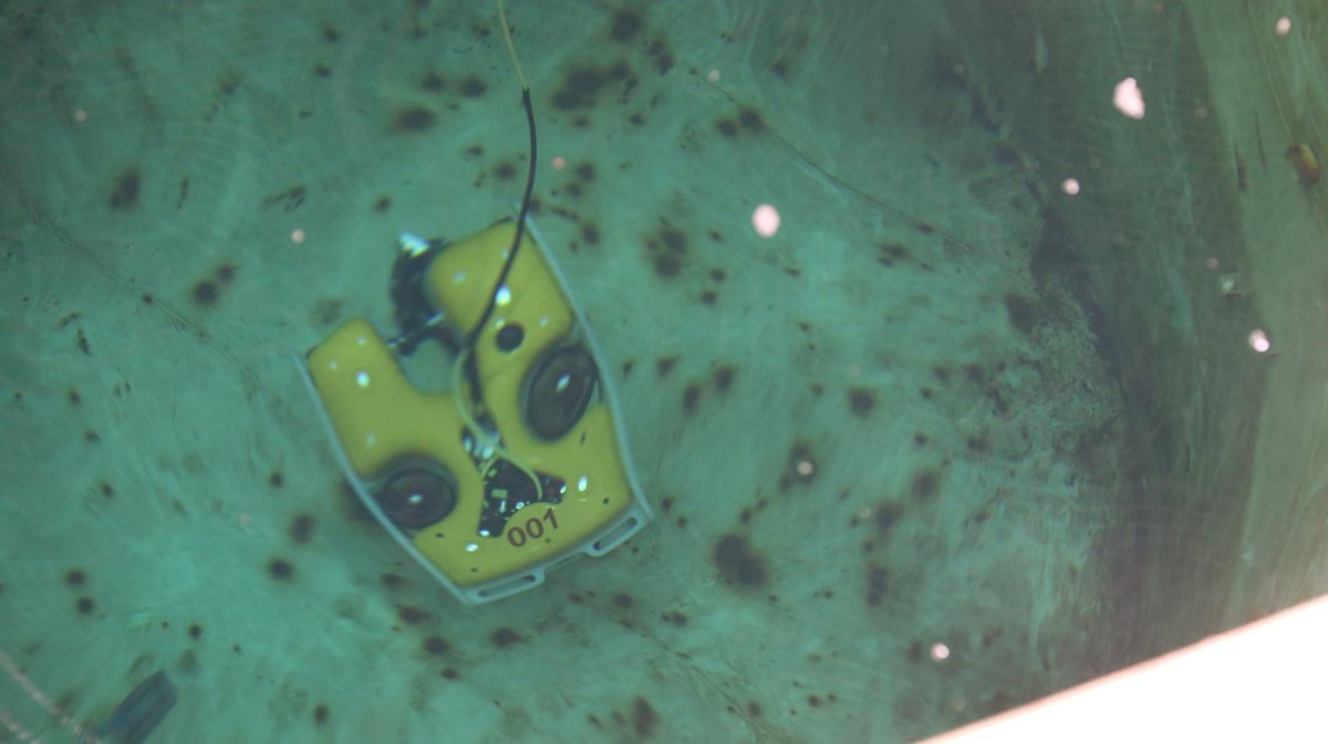 Марлин-350 подводный аппарат