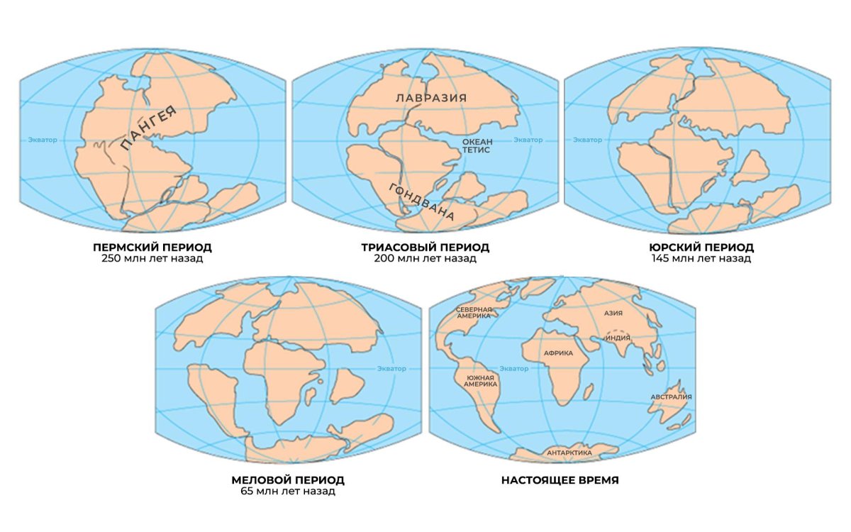 Пангея Гондвана Лавразия