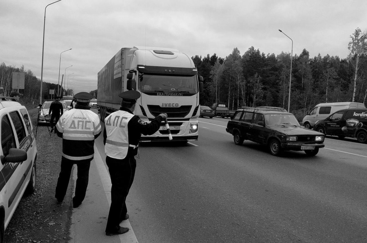 ДПС остановил фуру