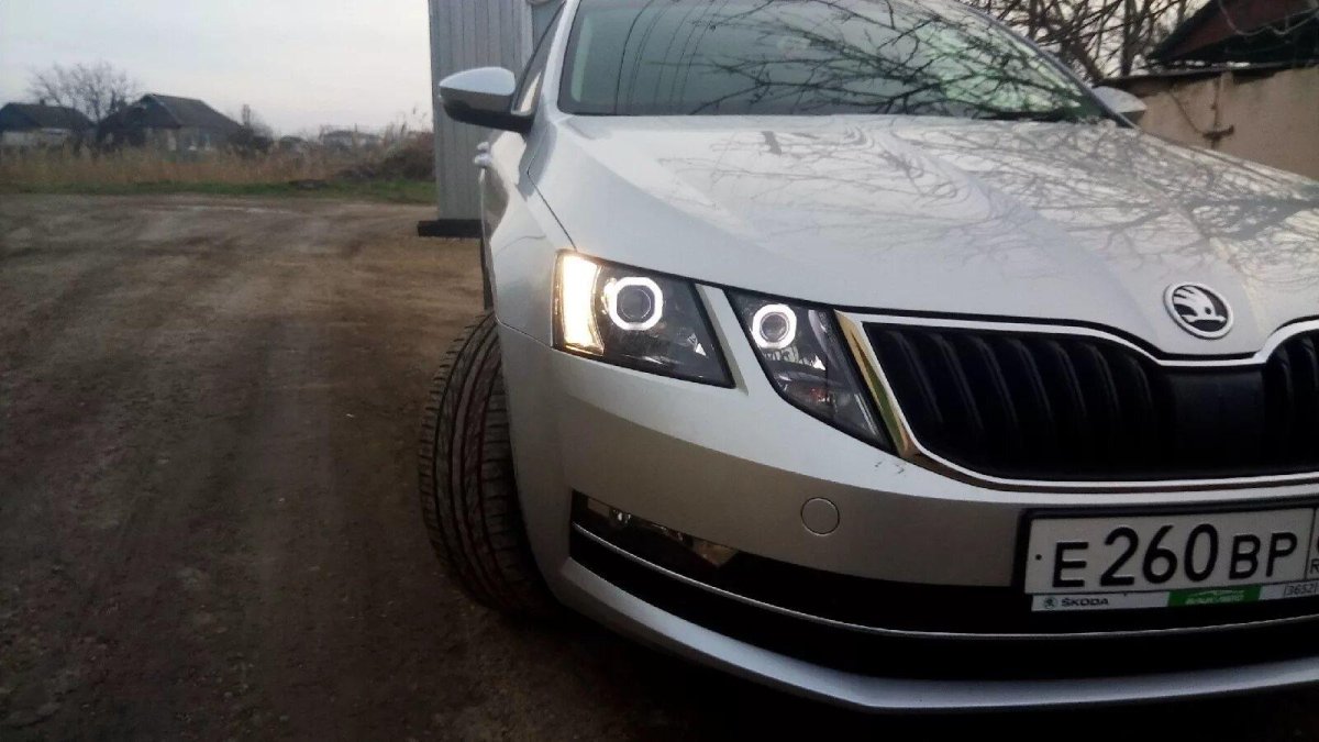 Skoda Octavia a7 оптика