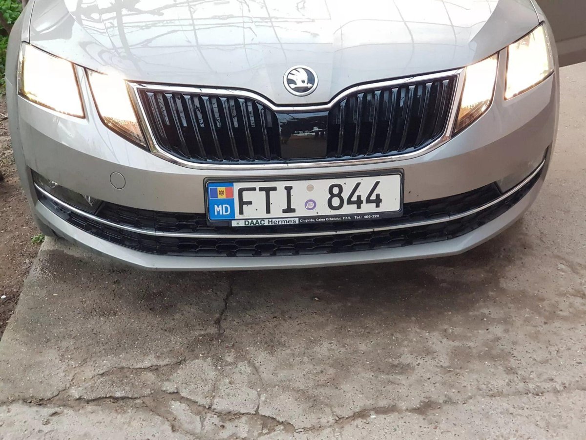 Дальний свет школа Октавия