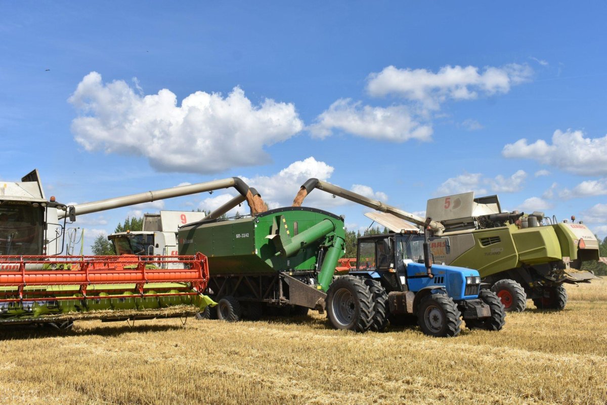 Растениеводство Северной Осетии