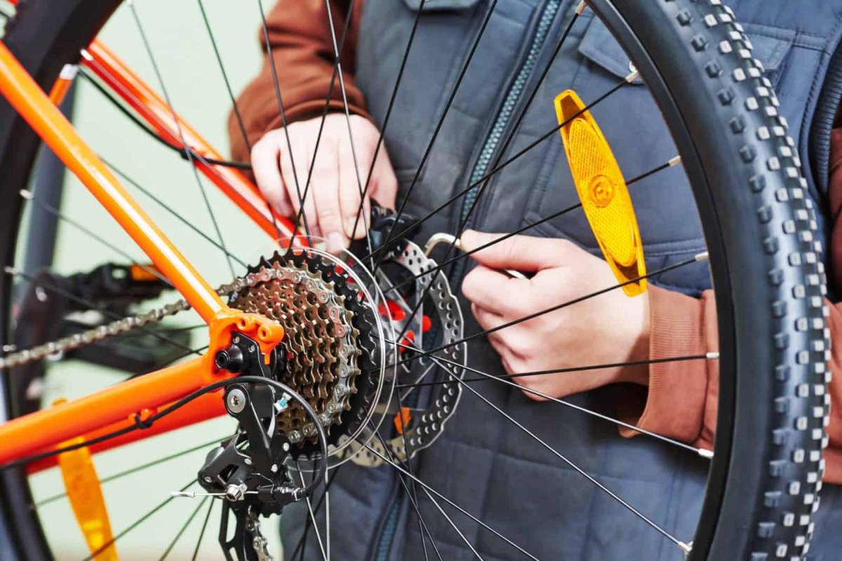 Bicycle Gear
