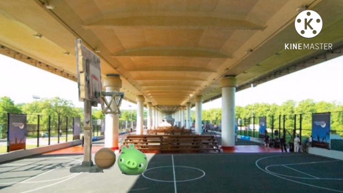 Под мостом Лужники баскетбольная площадка