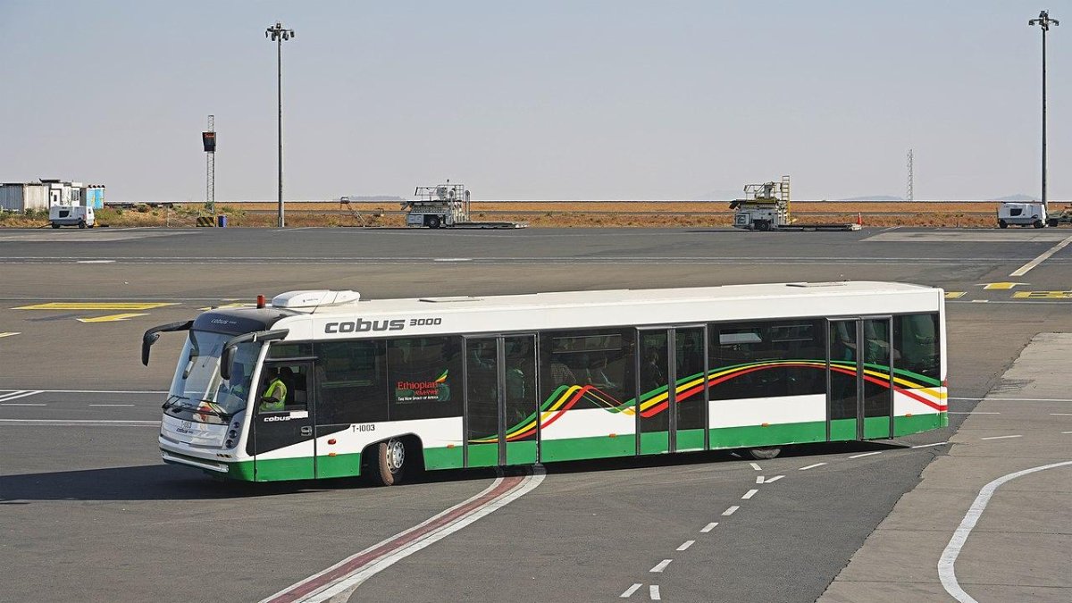 Cobus Шереметьево