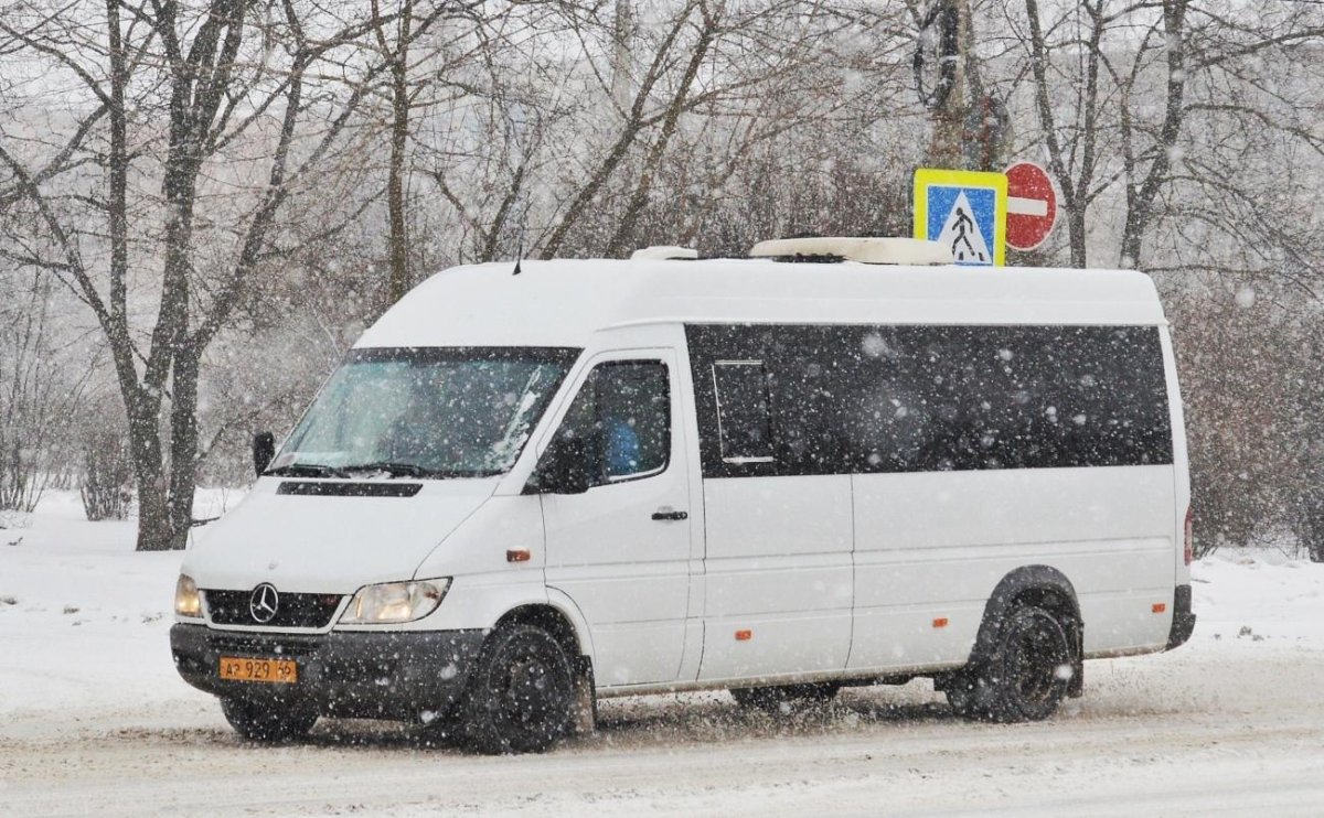 Мерседес Спринтер 223201