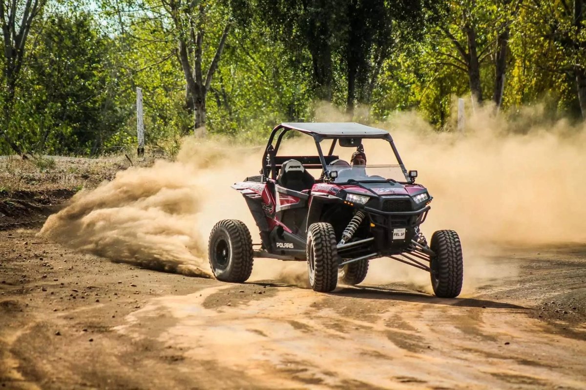 Багги Полярис