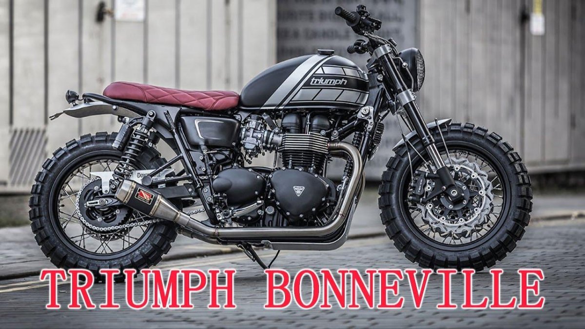 Triumph Bonneville t100 Custom