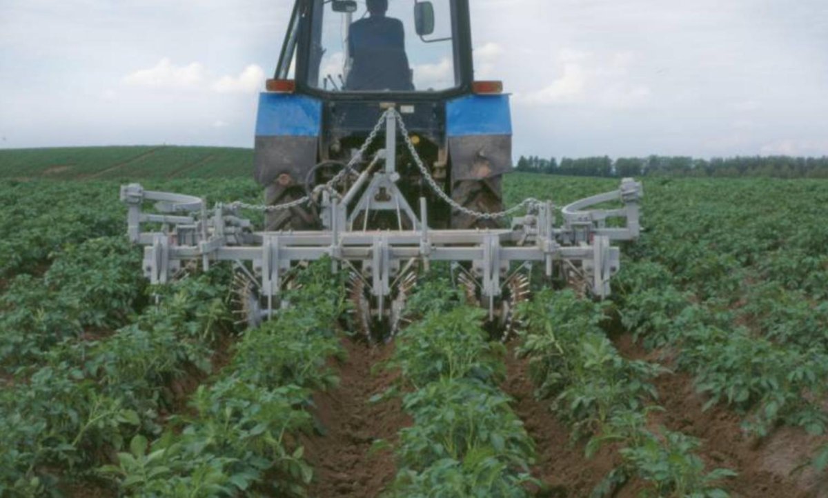 Культиватор КГО-3.0