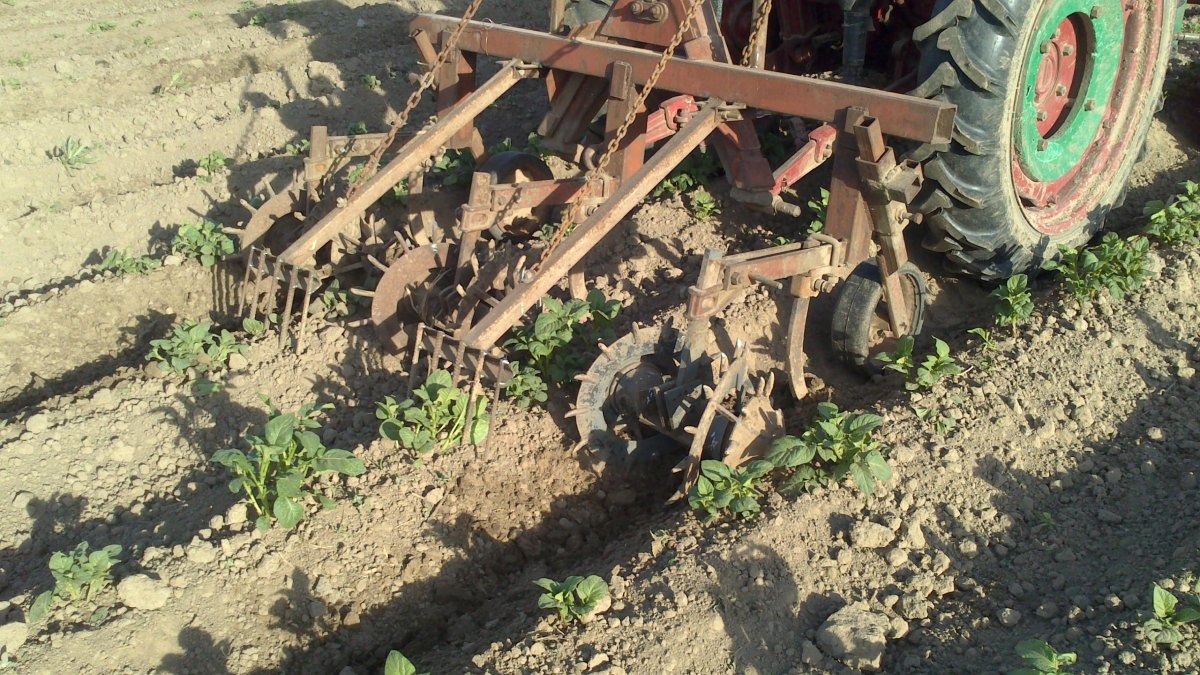 Культиватор окучник на т 25