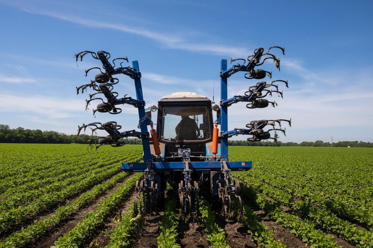 Междурядные культиваторы болеро 6,4