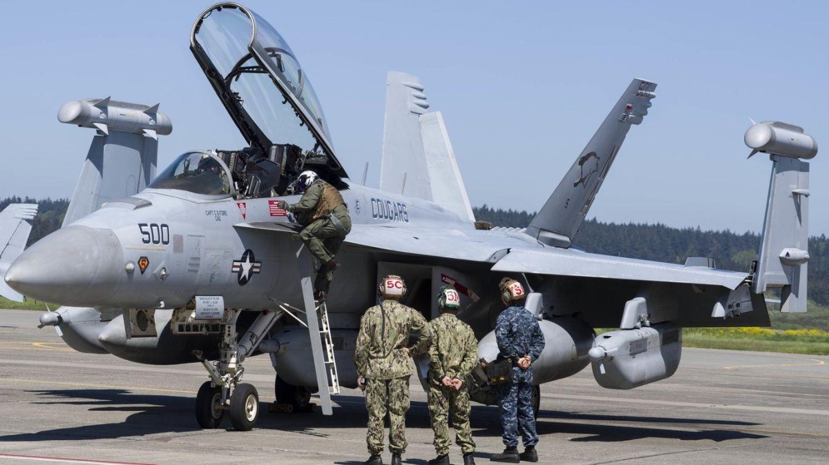 Самолет РЭБ EA-18g Growler