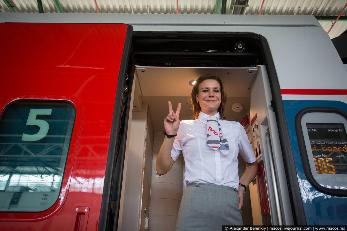 Светлана стюард Сапсан