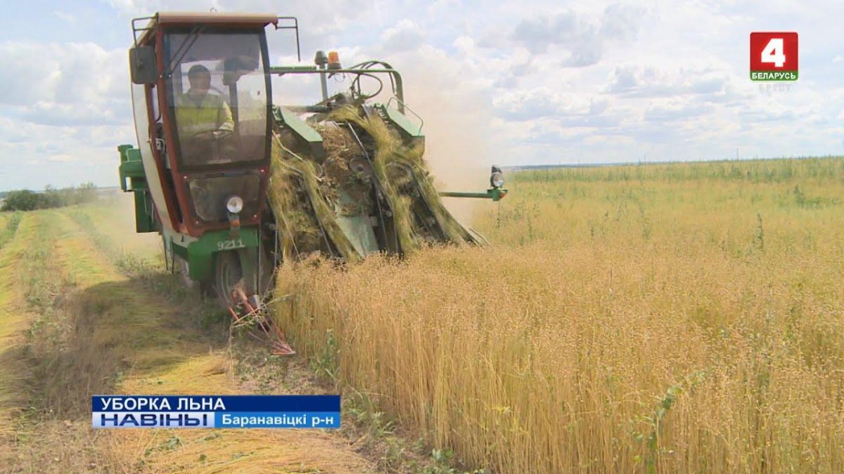 Уборка льна долгунца