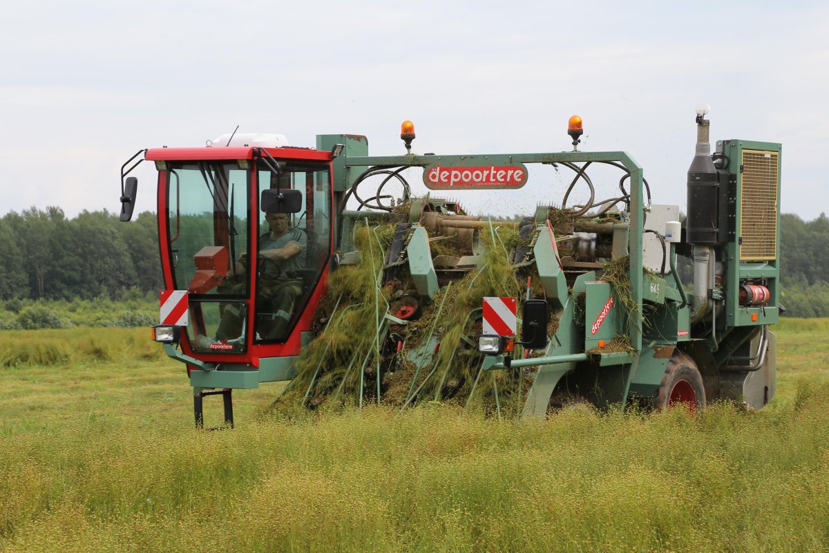 Уборка льна