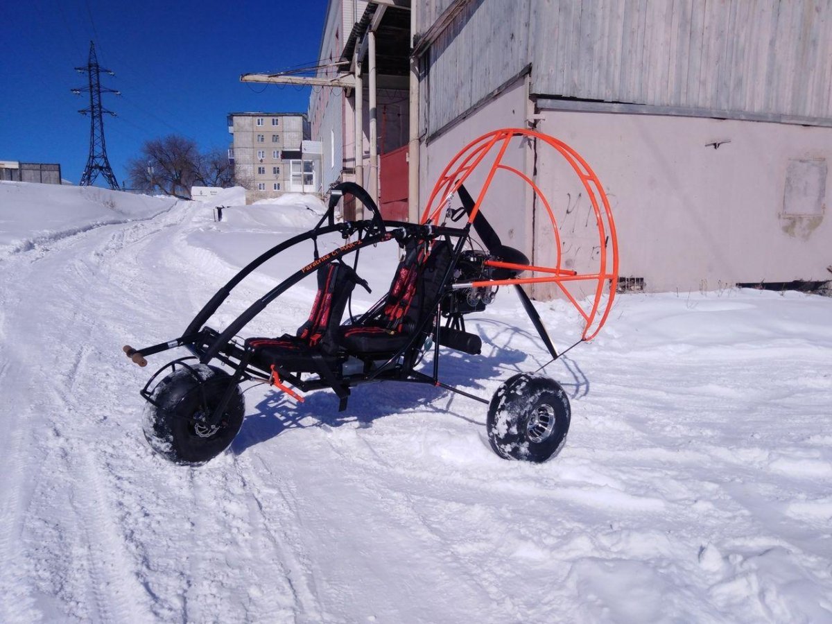 Паратрайк комар