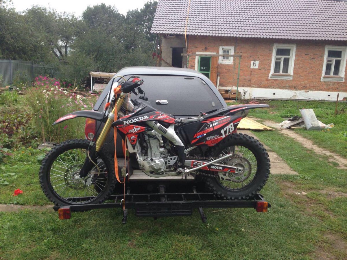 Мотохвост Октавия