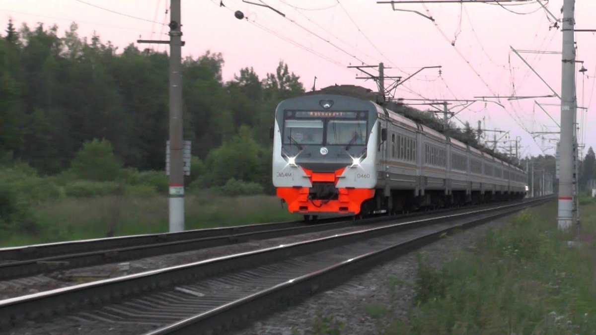 Эд4м 0460