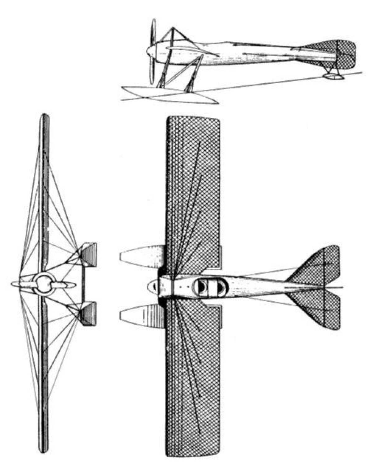 Deperdussin canard 1910
