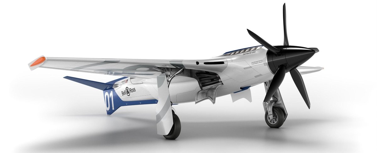 Br-Bird n18br