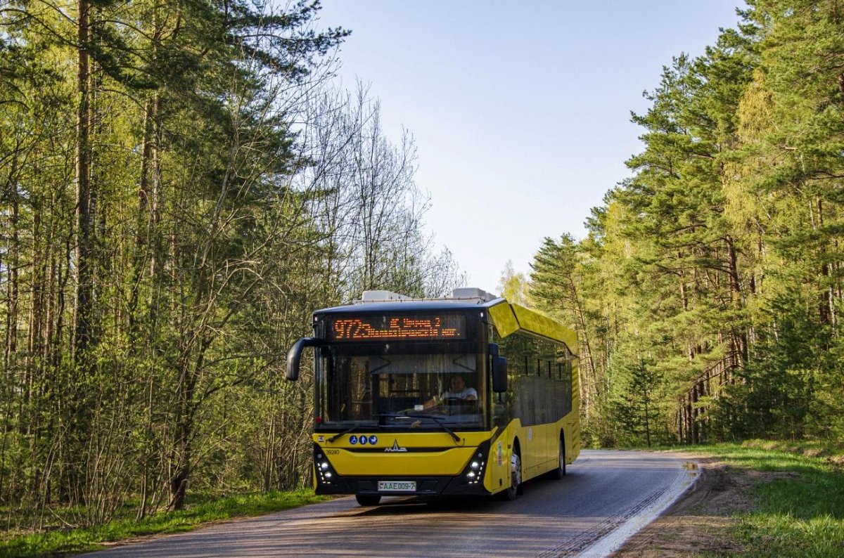 Автобус МАЗ 102