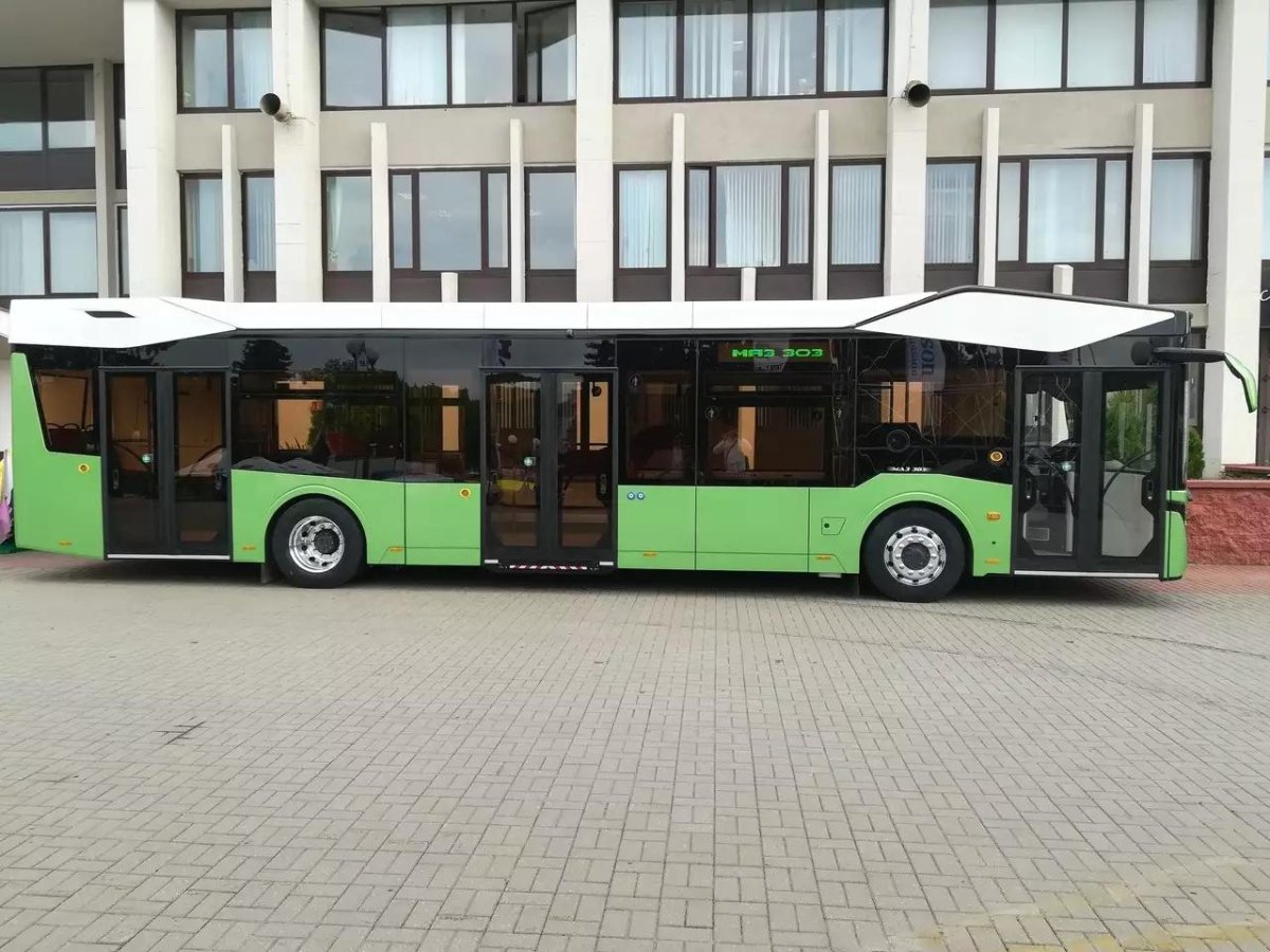 Новые автобусы МАЗ 303