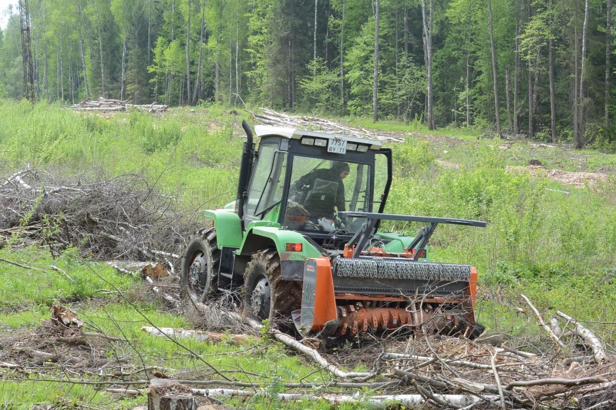 Мульчер Ферри