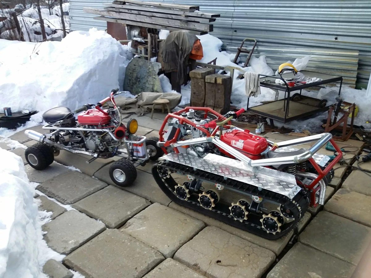 Мотособака маламут