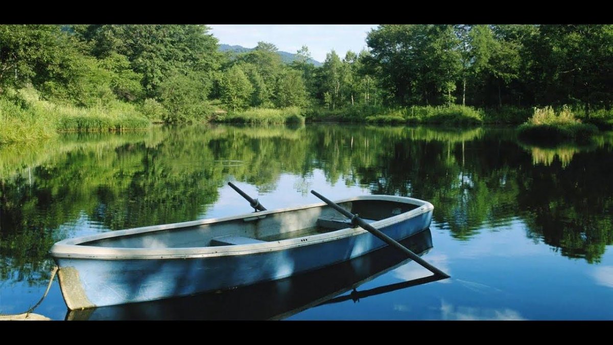 Лодка на пруду