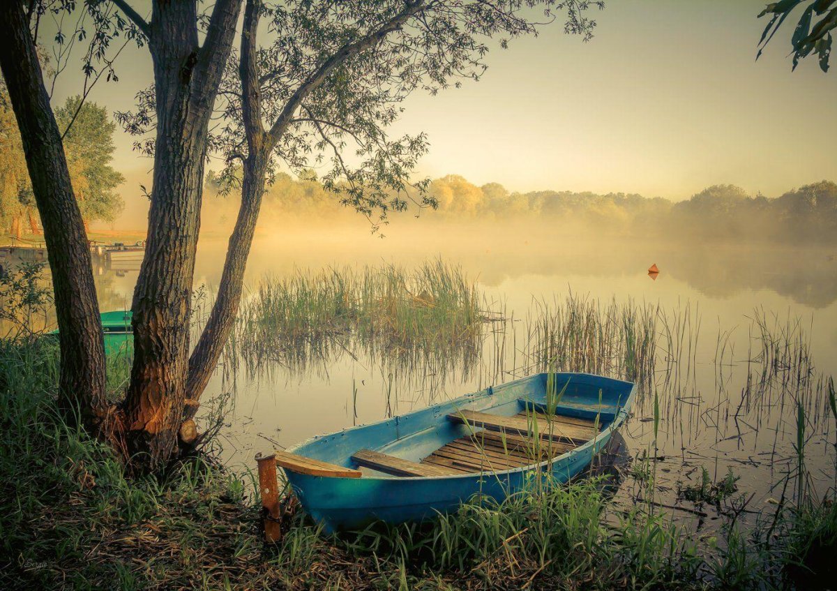 Лодка на реке