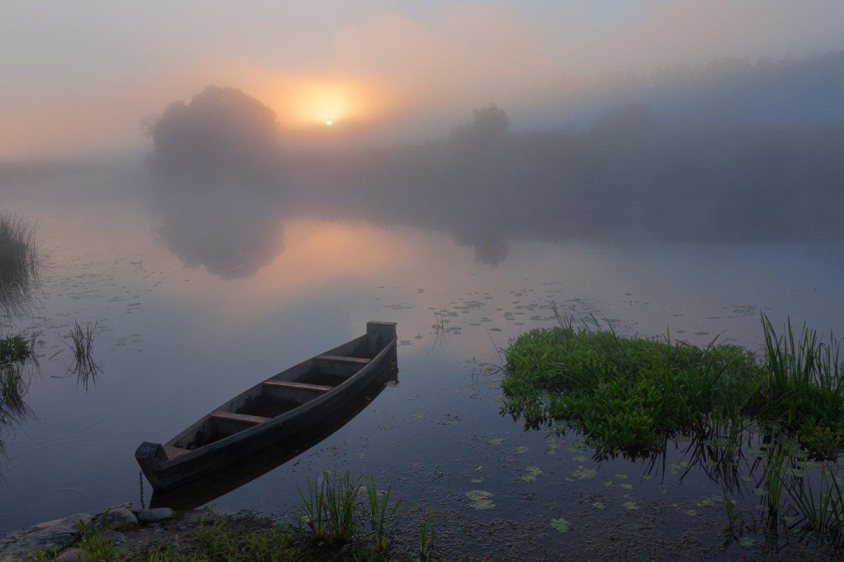 Лодка в тумане