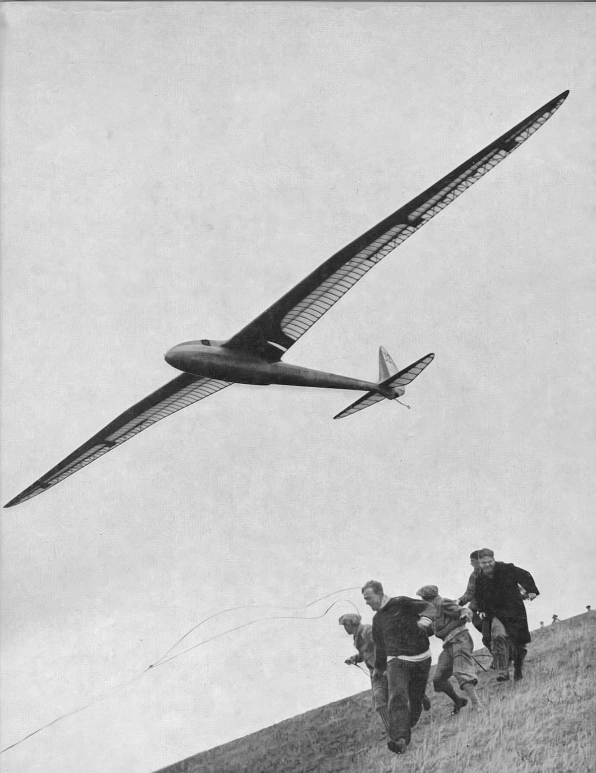 Александр Мартин Липпиш