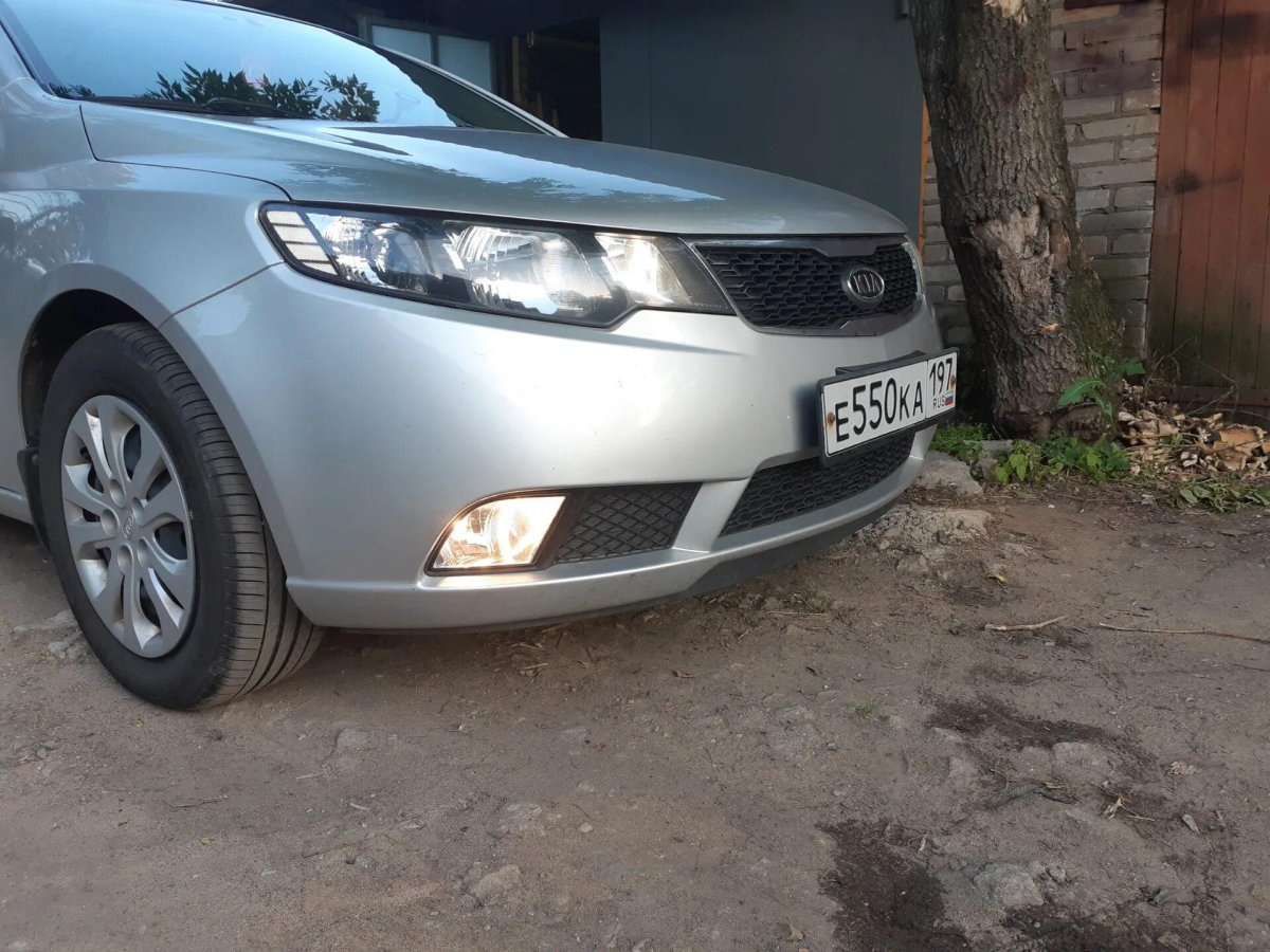 Туманки Церато 2